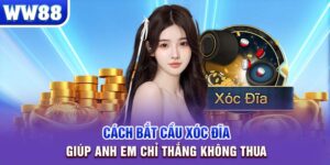 cách bắt cầu xóc đĩa