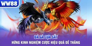 đá gà cựa sắt