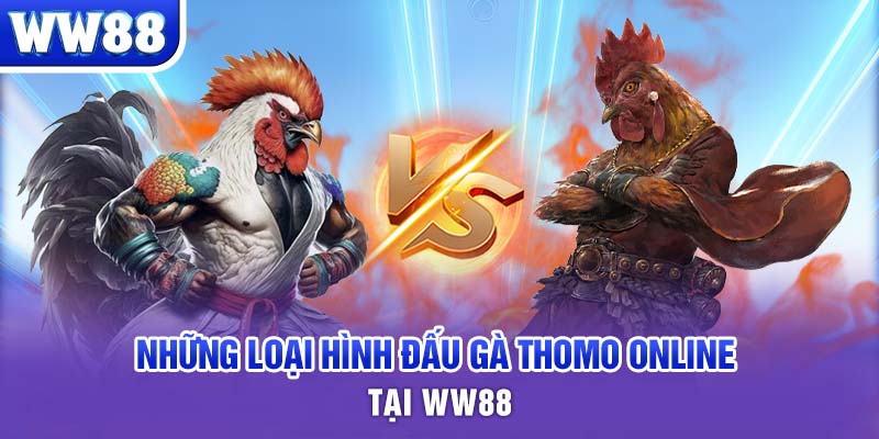 Những loại hình đấu gà Thomo online tại WW88